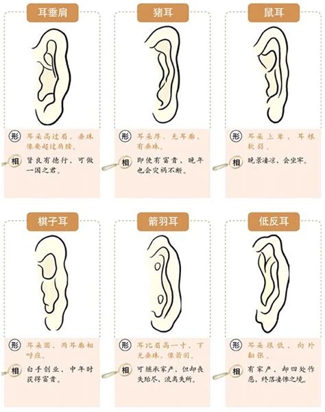 耳垂有線面相|十六種耳朵面相圖文分析